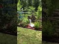 Great landscaping 😍🤩😍!
