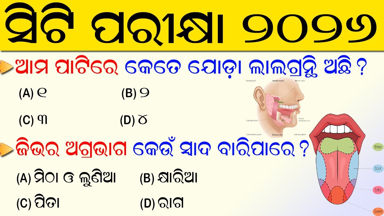 CT Exam Preparation 2026 | CT exam questions and answer | CT Entrance | CT Exam Practice Questions