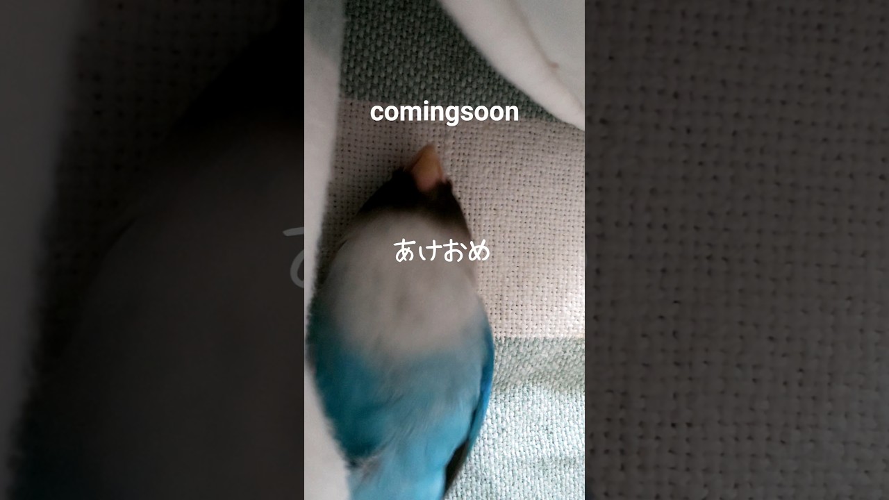 あけましておめでとうございます。事情により急遽家を離れております。戻りましたら動画作成再開いたします。