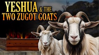 Parasha Acharei Mot 5784 (2024) - Yeshua and the Two Zugot Goats