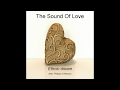 The Sound Of Love - Ethnic dream (feat.Philippe Di Mascio)