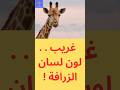 سر لون لسان الزرافة Facts Animals Shorts 