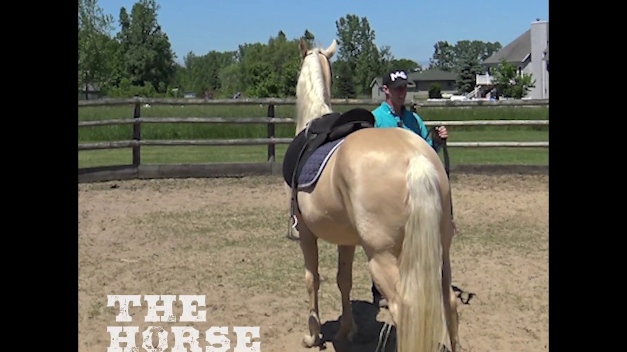 The Horse Guru Episode 3 Commercial 1 YouTube