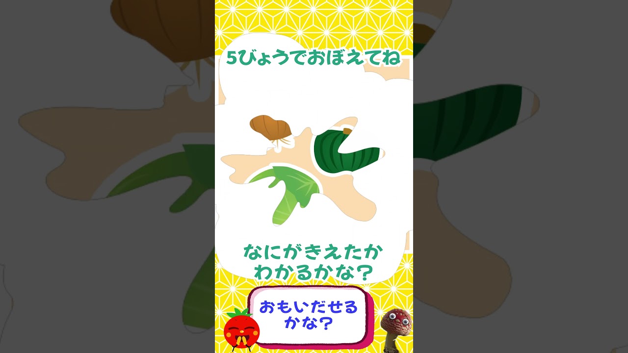 【瞬間記憶クイズ】消えたのはどれ？🥕 野菜編｜5秒で挑戦！