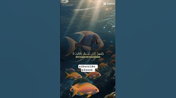 عبدالرحمن مسعد #القرآن_الكريم #القرآن #عبدالرحمن_مسعد #اكسبلور #تلاوة_خاشعة