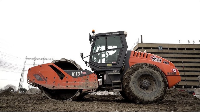 Qaynonaning tukli mushuk surati