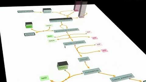 3D Timecourse Simulation