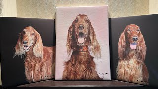 Glamour Shots January 2024 Ep 120 | Irish Setter