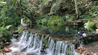 (P# 891) 1.8 hectares Farm lot na may bukal sa Lucban, Quezon for sale @ 500/sqm