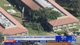 Windy weather topples tree on college dorm in Riverside