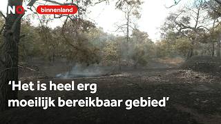 Zo Ziet Het Natuurgebied Bij Venray Eruit Na De Brand