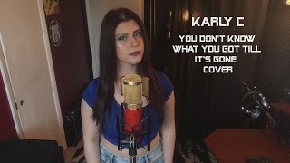 You Don't Know What You Got Till It's Gone - Cinderella ( Karly C Cover)