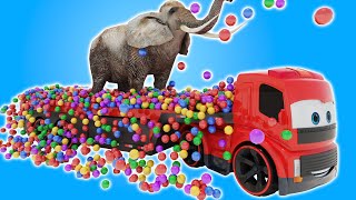 City Adventure: Colorful Trucks and Animals Fun Transportation