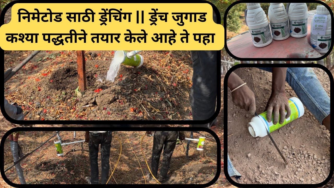 निमेटोड साठी लागणारे ड्रेंचिंग || कश्या पद्धतीने जुगाड तयार केले आहेत ते पहा || #farming 