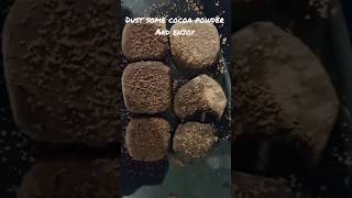 Chocolate Truffle Bites