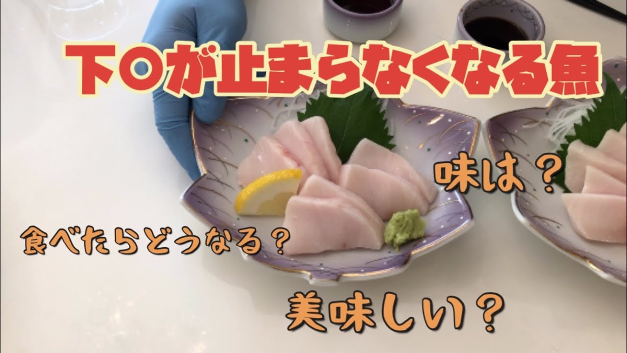 DANGER] The Fish You Can't Buy on the Market - YouTube