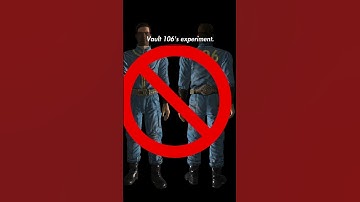 Fallout Lore: Who are the Vault 106 