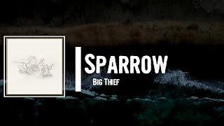Big Thief - Sparrow Lyrics
