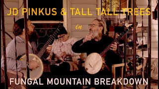 JD PINKUS & TALL TALL TREES - "Fungal Mountain Breakdown" (Official Shimmy-Disc Video)