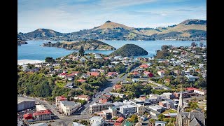Discover Dunedin - A Hidden Gem in New Zealand (5 Minutes)