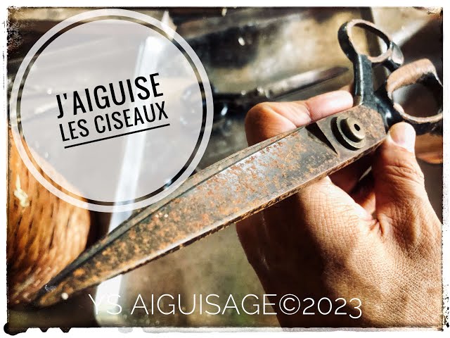 Aiguisage de ciseaux de Coiffure - Scissors Master