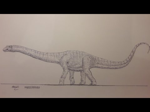 How To Draw The Argentinosaurus Part 1 YouTube Hqdefault