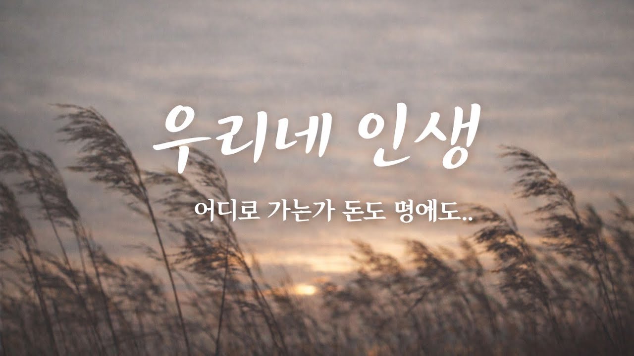 방황하는 중년들을 위한 노래 자작곡(우리네 인생)