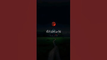 اكتب شيء تؤجر عليه ❤️🎧 #القارئ ياسر الدوسري