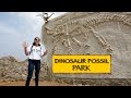 Dinosaur Fossil Park || Ahmedabad