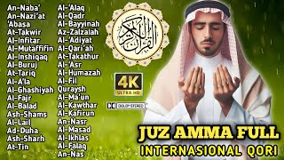 PEMUSNAH STRES TERBAIK: TILAWAH JUZ AMMA TENANG DARI SYECH ALLA AQEL