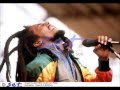 Bob Marley & The Wailers - Deeside Leisure Centre Connah's Quay, Wales July 12, 1980 A+ Full Concert