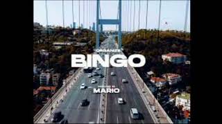 Organize Bingo Küfürsüz
