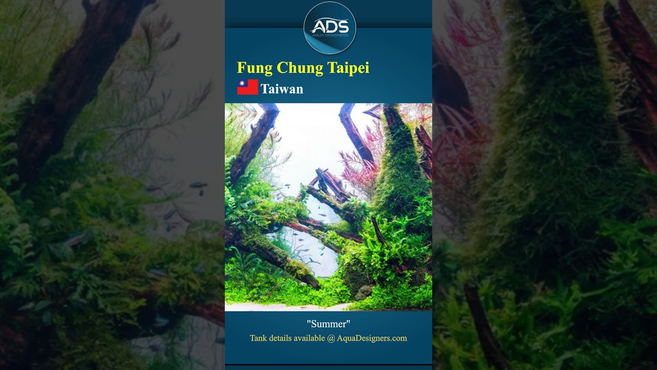 Summer | High Tech Tank 