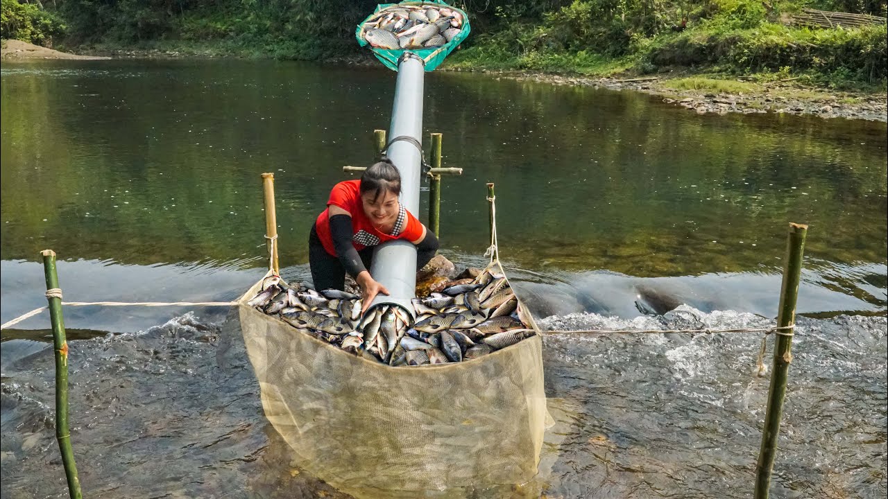Genius Fish Trap | How to Make Simple Fish Trap From Plastic Pipes | The Girl Caught a Lot Of Fish.