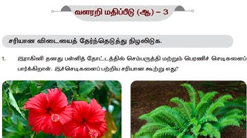 4th std Science Term 2 வளரறி மதிப்பீடு workbook answers/ 4th science வளரறி மதிப்பீடு-3 Tamil medium 