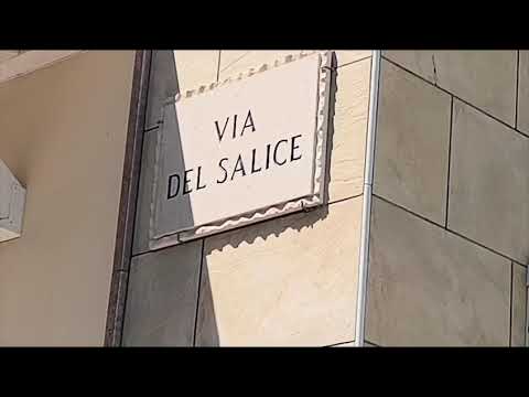 Video Tragedia a Foggia: operatore ecologico muore durante un intervento di disinfestazione