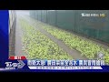 豪雨災情