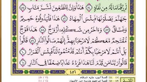 الصفحة ( 456 ) من القرآن الكريم سورة ص _ مصحف التقسيم الموضوعي _