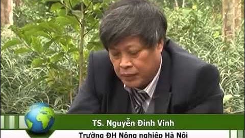DTN - Ky thuat trong mach mon