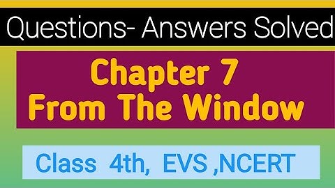 Questions- Answers Solved,  Chapter 7 - From The Window,  EVS, Class 4th, CBSE