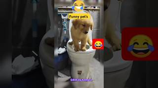 Funny pet's Shorts/Video||Funny Pet's Movements||🤣Funny Pet's Reactions||#viral #tranding #shorts