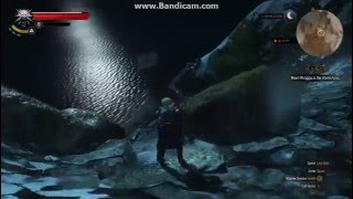 The Witcher 3 Wild Hunt on AMD R9 M270X