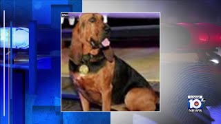 BSO bloodhound retires after nearly 10 years of service