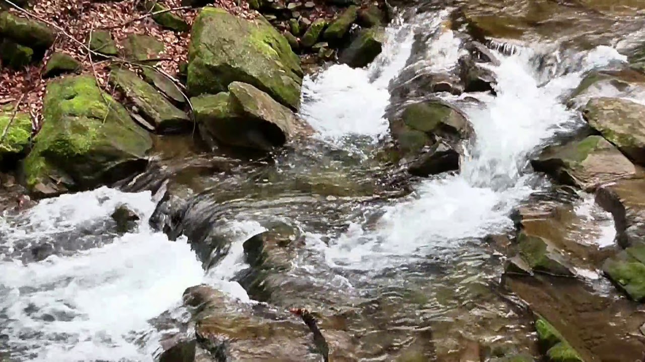 Le silence de l,eau - YouTube