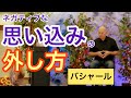 ネガティブな思い込みを手放す方法(バシャール)| How to let go of negative belief (Bashar)