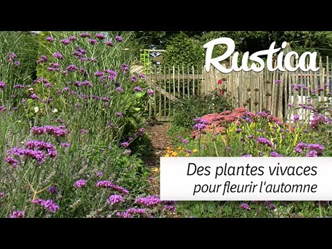 Vidéo: Asperges : Entretenir Les Plates-bandes à L'automne