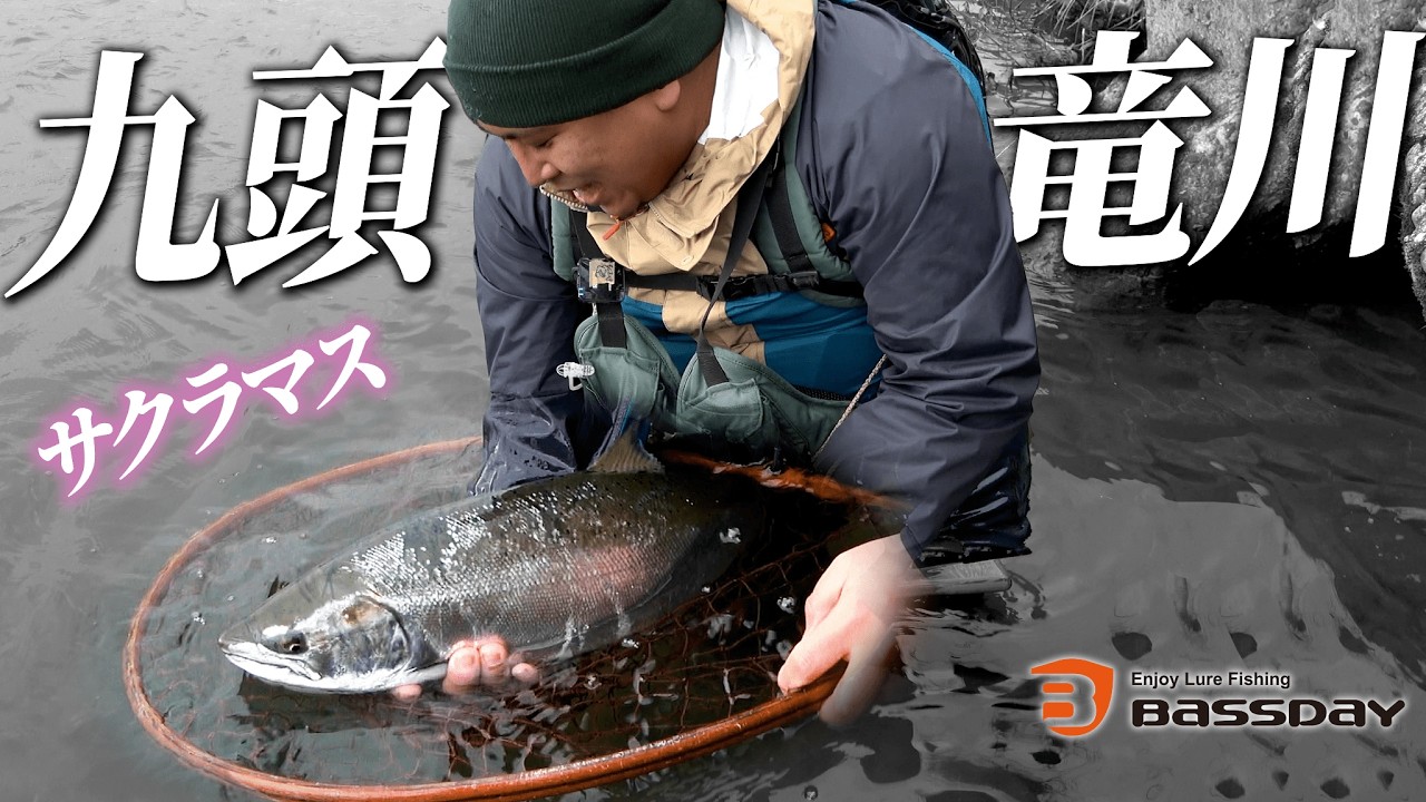 2026年 九頭竜川 幻のサクラマス、ついにやりました。