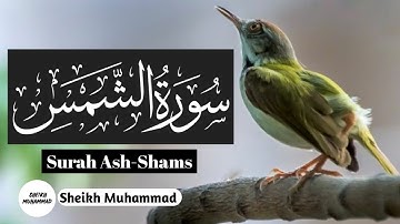 Surah Shams | سورة الشمس | Surah Ash-Shams Sheikh Muhammad