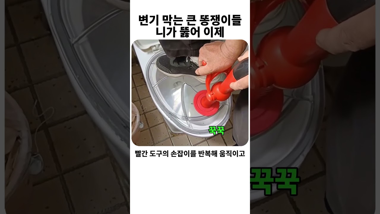 변기 막는 큰 똥쟁이들.. 니가 뚫어 이제 #막힘 #사이다