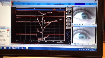 Eye_movement_vs_lap-time_OS_ML